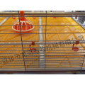 H Frame Broiler Cage